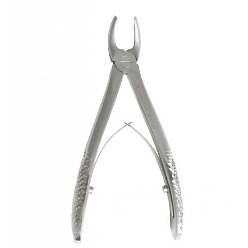 Fig. 139 Upper premolar Children - Reg Pattern 510-139